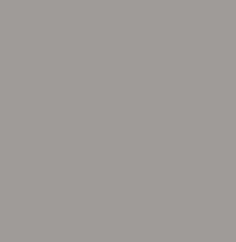 9855-AFX - Basalt Grey N copy